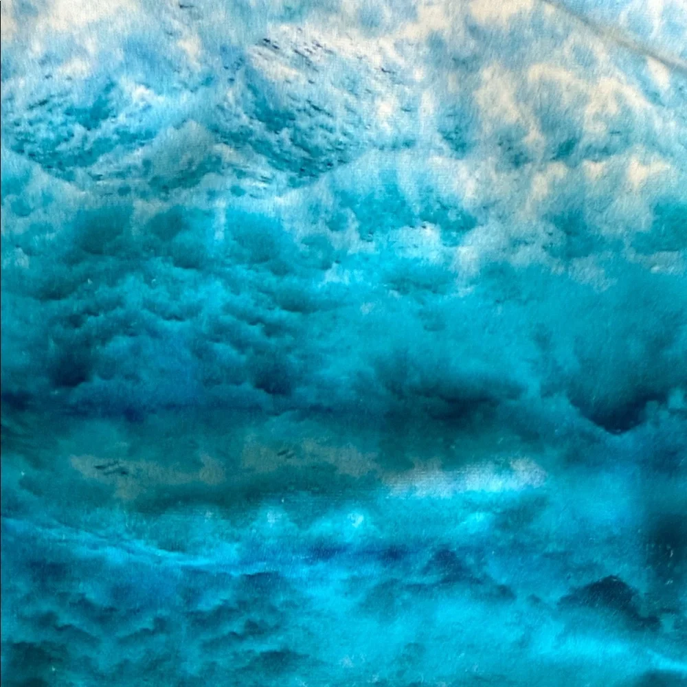 Mikoh Oceanic Blue Bikini - Picture 5 of 5